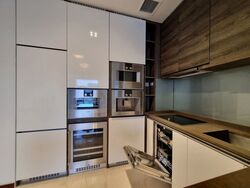 The Scotts Tower (D9), Condominium #423493051